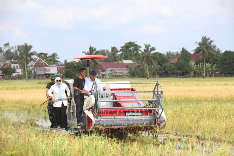 wamentan-ingatkan-bulog-harus-serap-gabah-milik-petani-sesuai-hpp