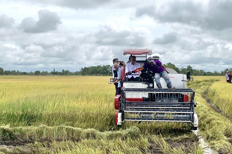 Menko Pangan: Bulog beli beras dari pabrik yang serap gabah sesuai HPP