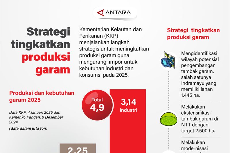 strategi-pemerintah-tingkatkan-produksi-garam