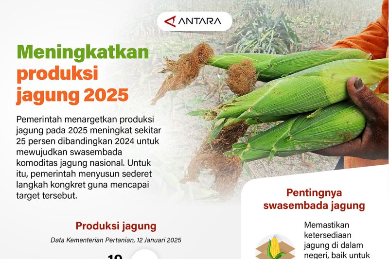 meningkatkan-produksi-jagung-2025