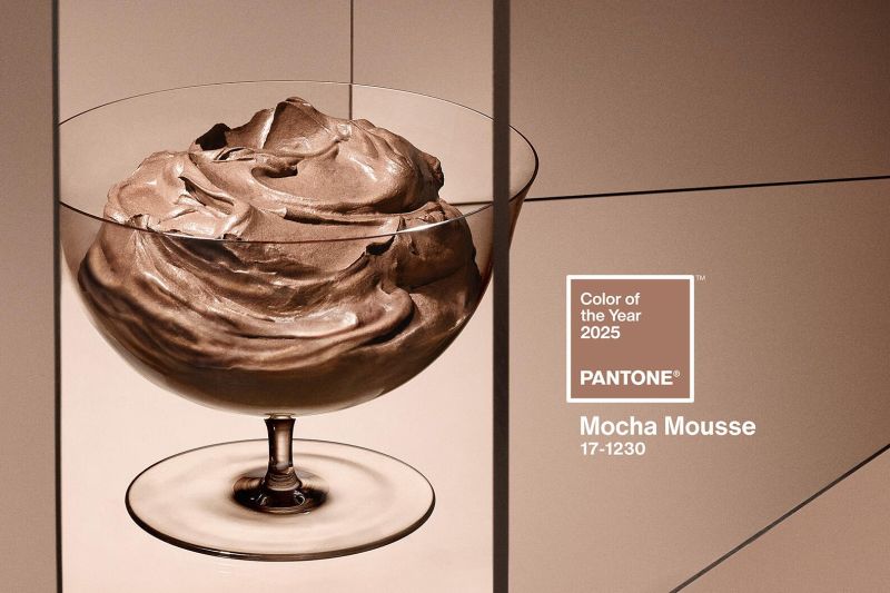 WARNA MOCHA MOUSSE DITETAPKAN SEBAGAI TREN WARNA DI TAHUN 2025 PANTONE 17 1230