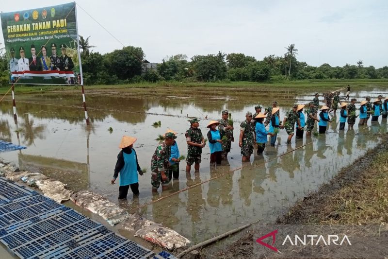 mentan-meninjau-gerakan-tanam-padi-akibat-genangan-banjir-di-bantul