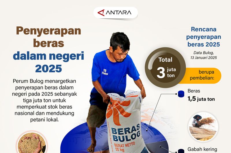 penyerapan-beras-dalam-negeri-2025