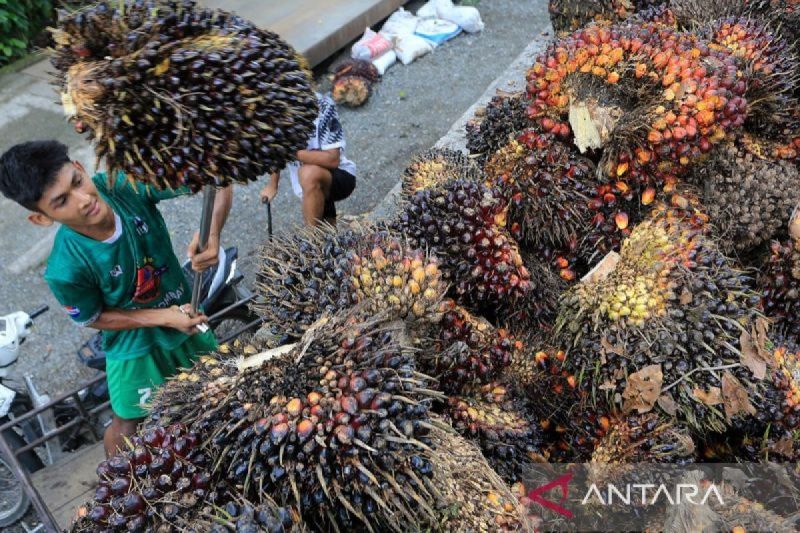 Wamendag: Kemenangan RI di WTO berkontribusi ke nilai perdagangan 