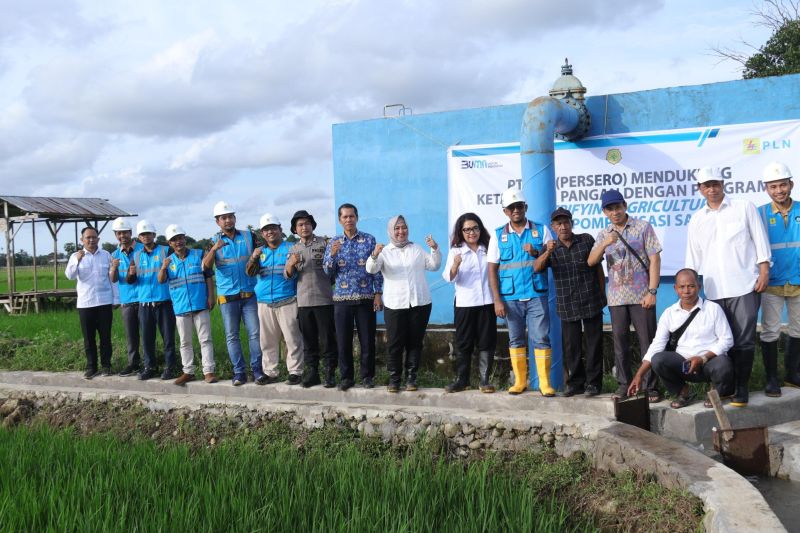 Petani Sulsel untung berkat program listrik PLN masuk sawah 