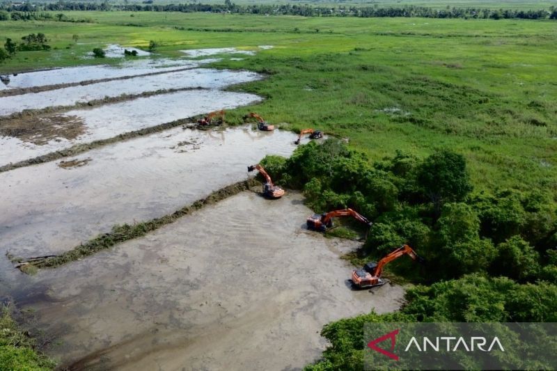 belajar-dari-negara-lain-cetak-sawah-di-rawa-sulfat-masam