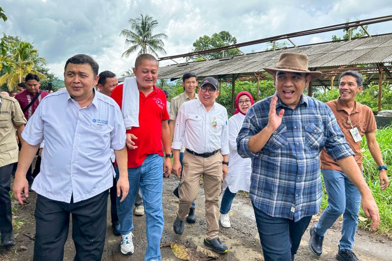 MPR apresiasi langkah cepat Pemerintah tangani kasus PMK 