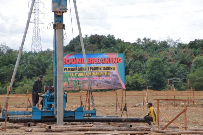 Pabrik jagung di Kalbar memudahkan petani jual hasil panen  