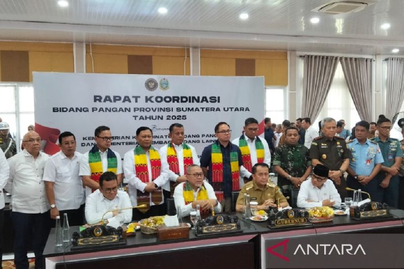 Menko minta pemerintah daerah dukung penuh swasembada pangan 