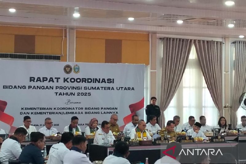 Mendes: Swasembada pangan boleh gunakan dana desa 