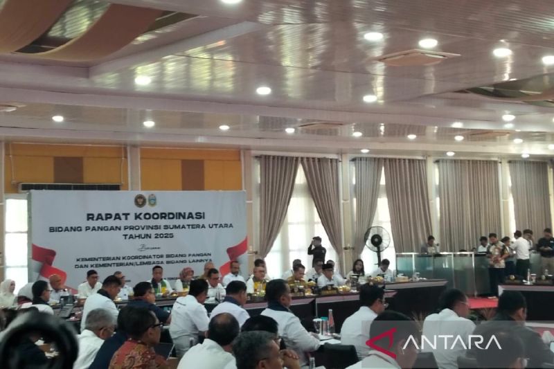 Pemerintah pusat sediakan 4 juta dosis vaksin tangani PMK 