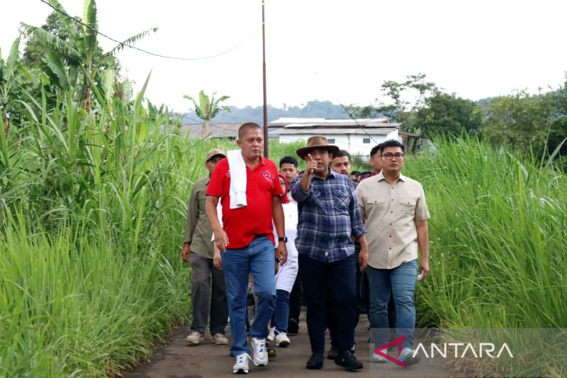 Ketua DPRD Bogor yakini program MBG sejahterakan peternak 