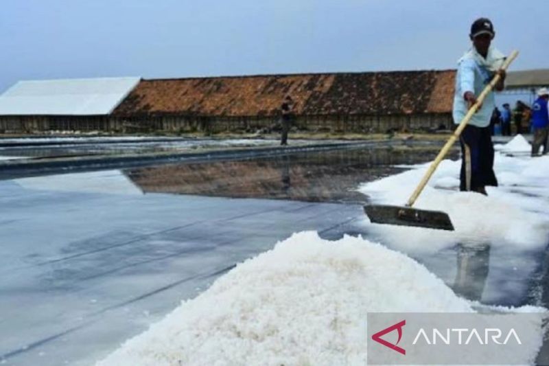 Produksi garam rakyat di Sumenep naik 17 ribu ton 