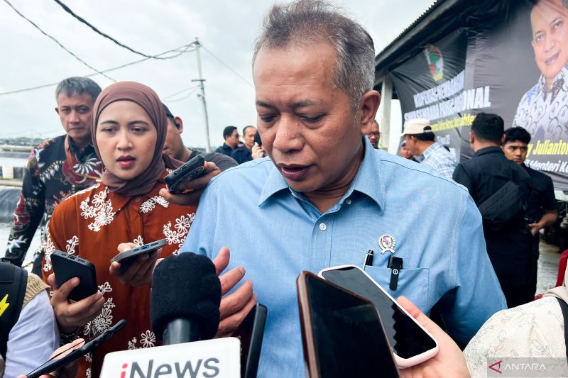 Kemenkop pacu produksi koperasi ayam petelur guna dukung MBG 