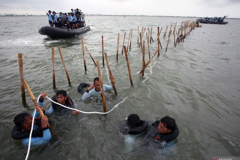 Menteri KP sebut pemilik pagar laut didenda Rp18 juta per kilometer