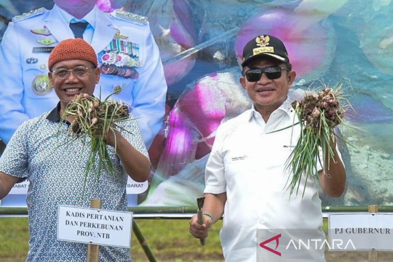 Pj Gubernur NTB ajak petani bawang tingkatkan inovasi pertanian 