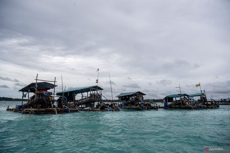 pt-timah-akui-sulit-tertibkan-tambang-ilegal-pasca-kasus-korupsi