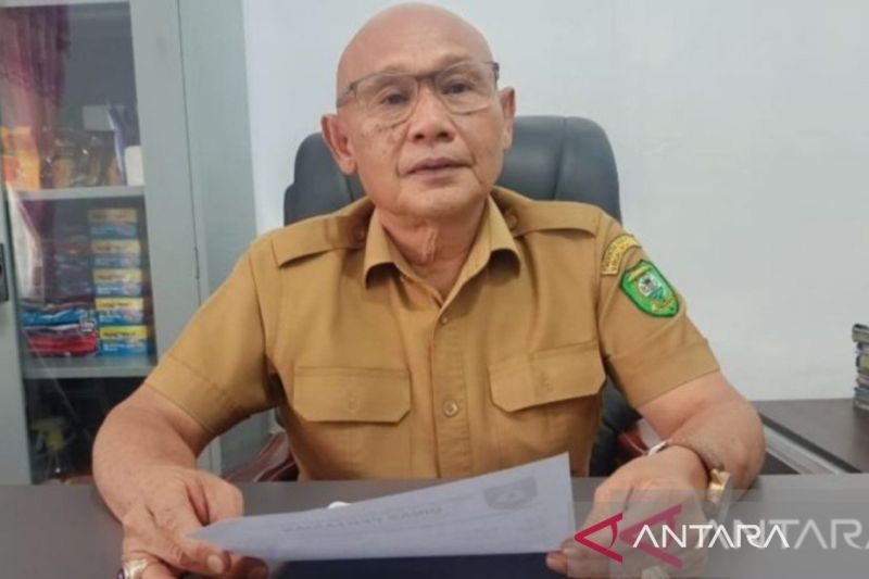 Pemkab Mandailing Natal optimalkan lahan rawa untuk pertanian 