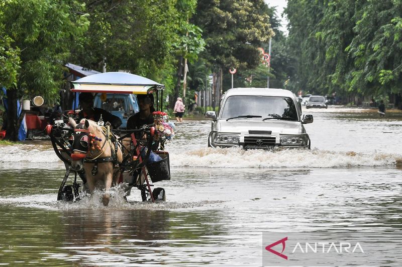 Usai lintasi banjir, pancing rem mobil agar bisa prima kembali 