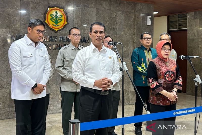 Mentan sebut produksi padi Januari-Maret 2025 naik 50 persen 