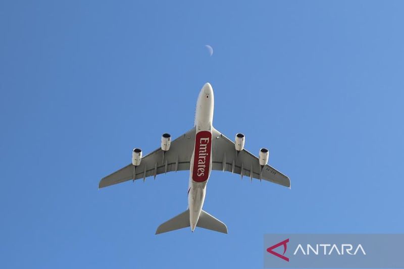 penerbangan-antara-turki-dan-kota-kurdistan-irak-dibuka-kembali