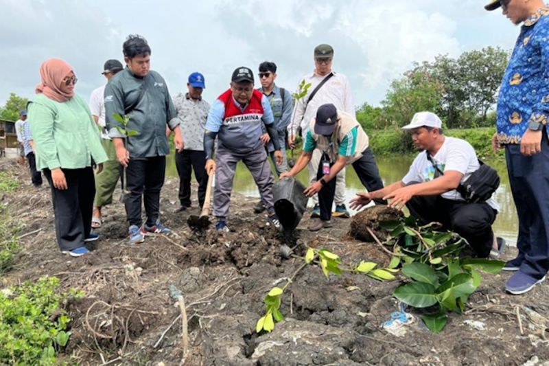 phe-onwj-dan-warga-tanam-6606-bibit-pohon-lestarikan-lingkungan