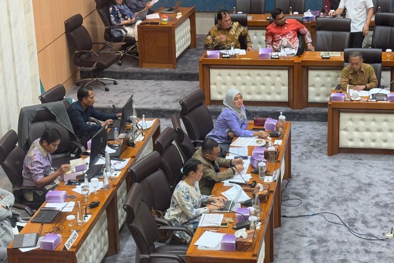 DPR minta pemerintah atasi kenaikan harga migor dan impor singkong 