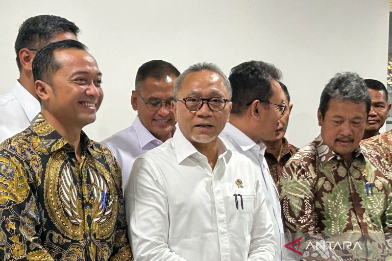 menko-zulkifli-impor-singkong-dan-tapioka-akan-dibatasi