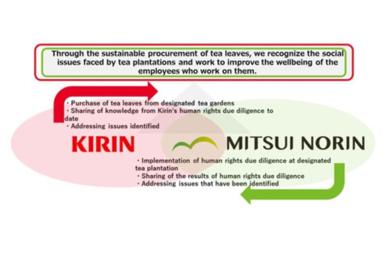 Kirin Holdings: Lakukan Uji Tuntas Hak Asasi Manusia untuk Pengadaan Daun Teh Berkelanjutan Dari Sri Lanka