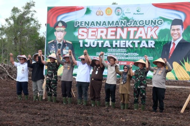 Polda Kalteng tanam jagung serentak di lahan 600 hektare 