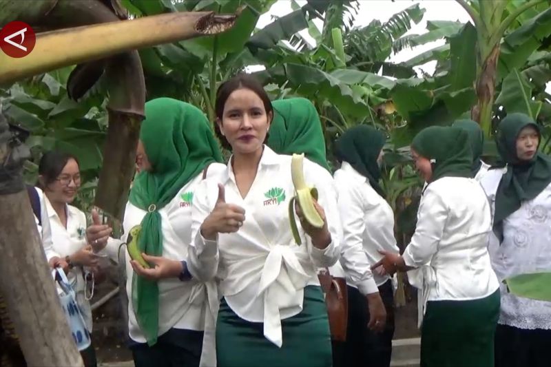 Perempuan Tani HKTI ingin kolaborasi dengan kebun nutfah pisang Yogya 