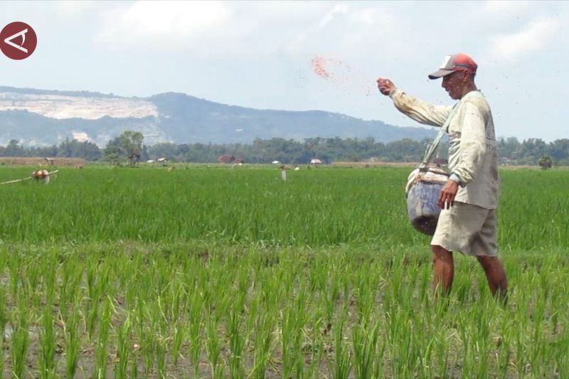 pupuk-indonesia-tingkatkan-produktivitas-petani-melalui-program-makmur