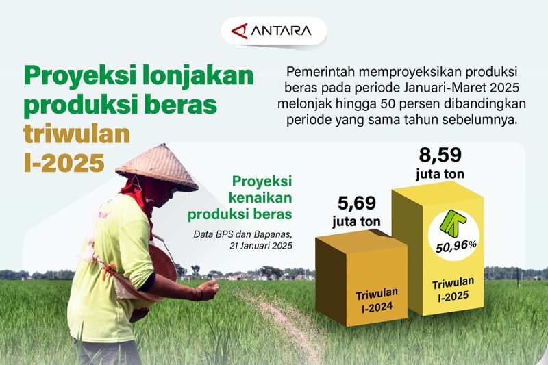 proyeksi-lonjakan-produksi-beras-triwulan-i-2025