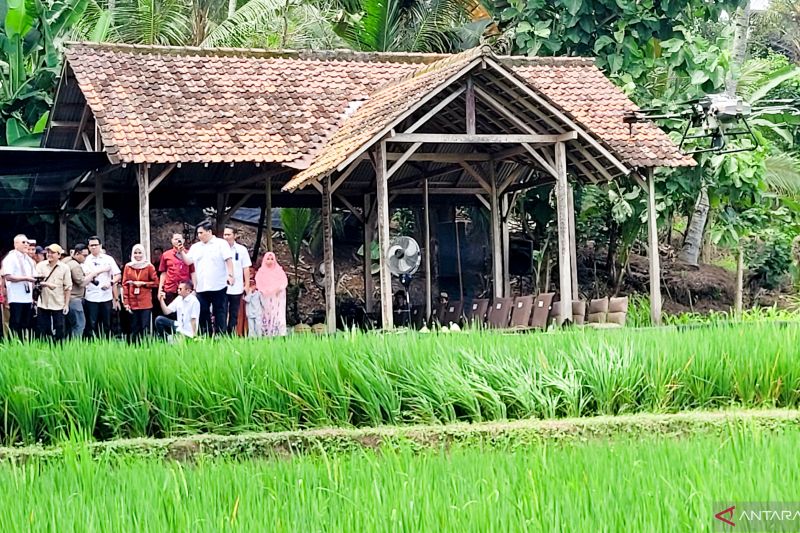 Menko Zulhas minta Banyuwangi berbagi konsep pertanian milenial 