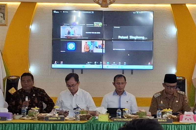 Ketua Satgas Pangan: Rafaksi ubi kayu harus miliki kriteria dan detail 