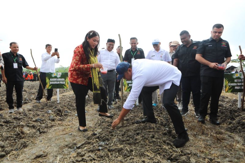 wamentan-riau-ditargetkan-jadi-percontohan-tumpang-sari-jagung-cabai