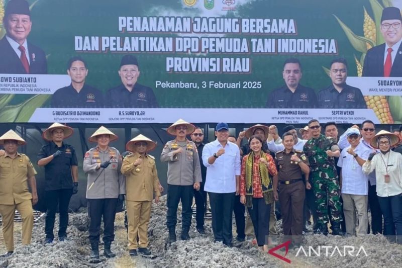 Wamentan-Polda Riau tanam jagung pada lahan sawit sedang peremajaan 