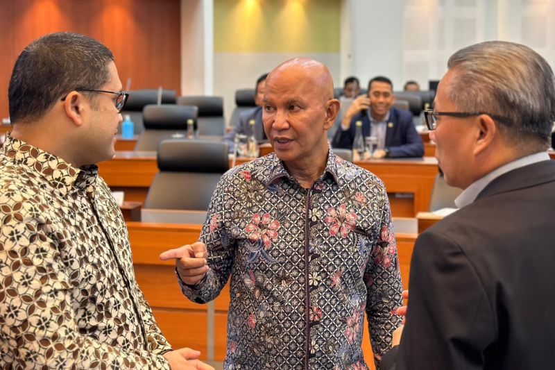 DPR minta pemerintah tak tambah stafsus di tengah efisiensi 