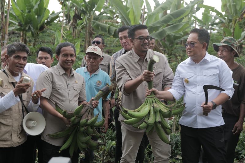 Pj Bupati: Konsep IAD perhutanan sosial Lumajang tarik perhatian dunia 