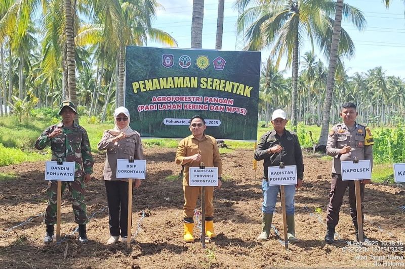 BSIP Gorontalo mendukung agroforestri pangan untuk swasembada 