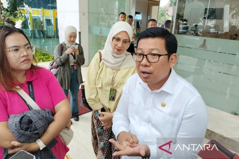 Bapanas: Penugasan daging kerbau masuk neraca komoditas 2025 