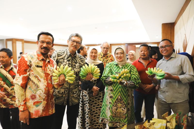 Pemkab Lumajang gandeng UMKM kembangkan olahan pisang mas kirana 