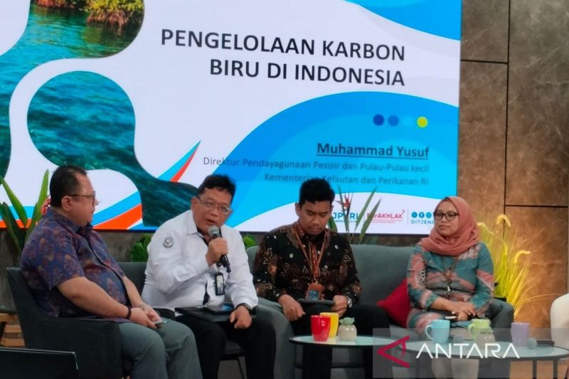 kkp-potensi-karbon-biru-indonesia-cukup-besar-dan-diakui-dunia