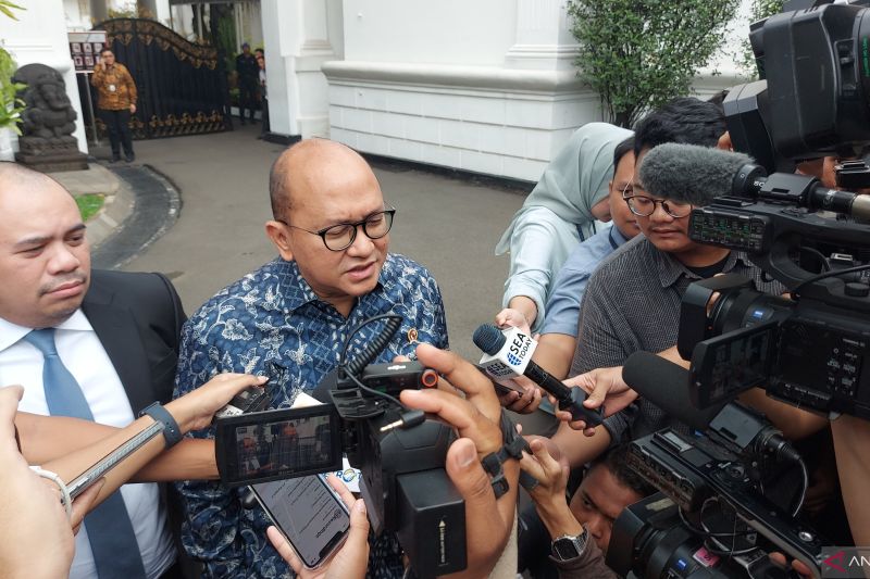 rosan-presiden-ingin-nze-dipercepat-melalui-investasi-mobil-listrik