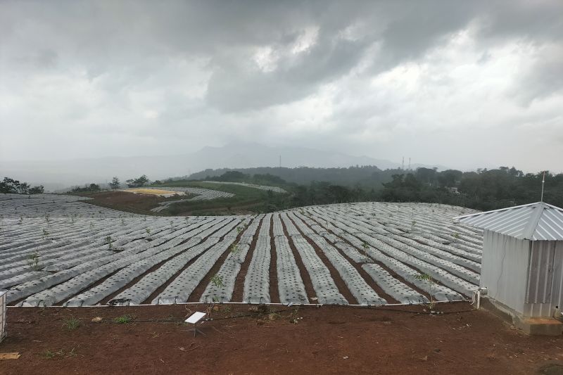 Melihat lahan ketahanan pangan karya Sang “Jenderal Air” 