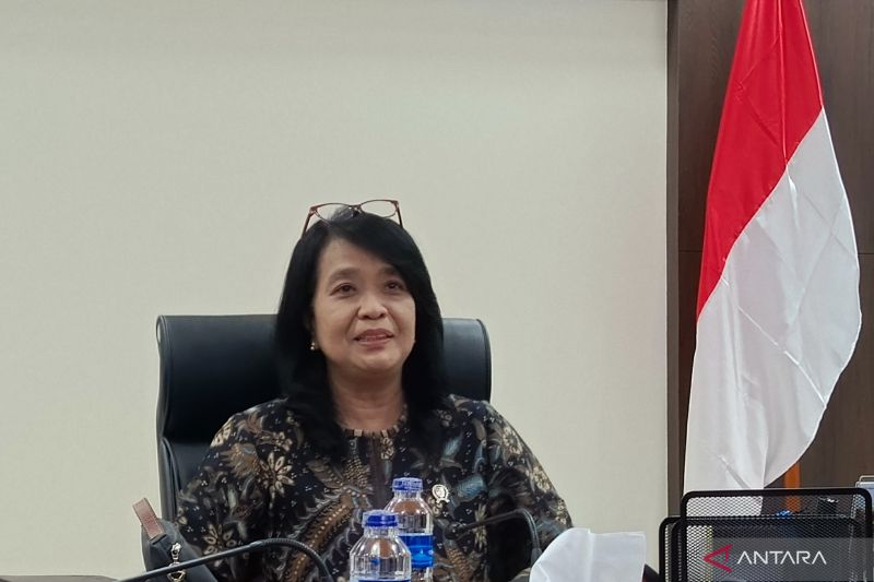 Wamen PU sebut pembangunan IKN berlanjut di area legislatif-yudikatif 