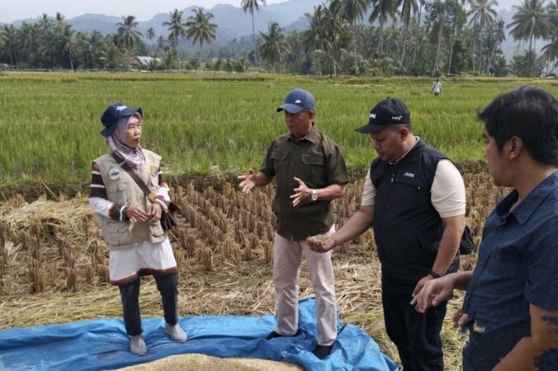 Pengamat minta Bulog dukung penuh permintaan Presiden soal HPP gabah 