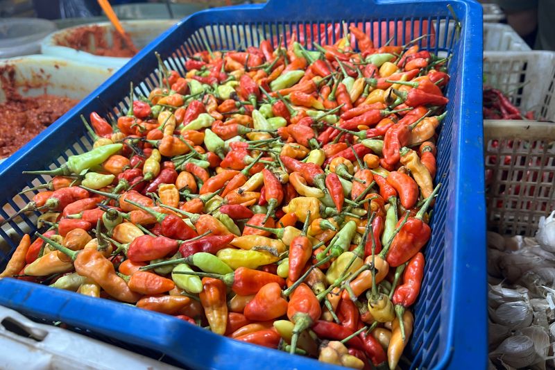 pihps-harga-cabai-rawit-merah-rp55000kg-bawang-merah-rp32950kg