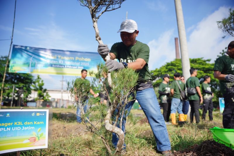 pln-rayakan-bulan-k3-nasional-lewat-penghijauan-kota-di-jatim