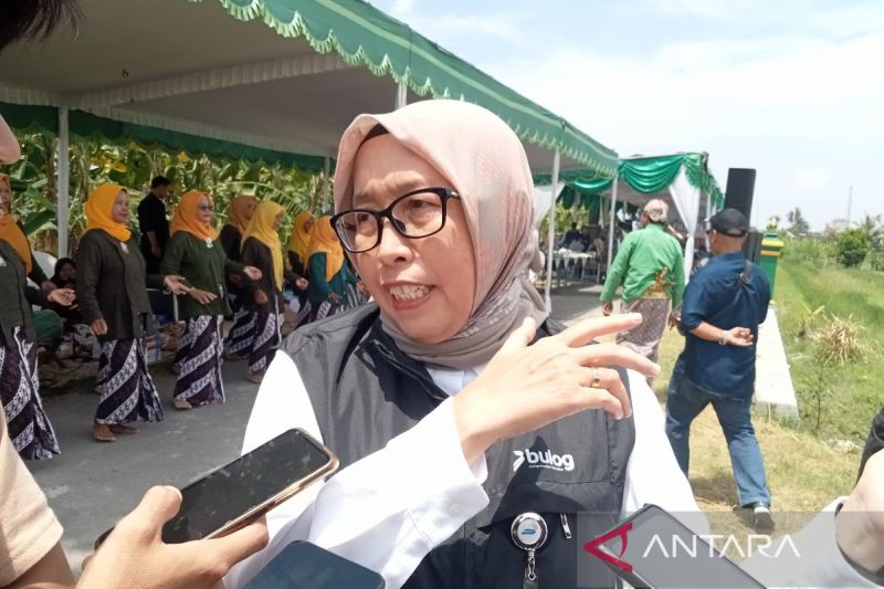 Bulog Yogyakarta serap gabah petani Bantul dengan harga Rp6.500 per kg 